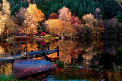 The Autumn Lake Forest Morning Wallpapers