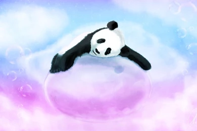 Panda Computer Wallpapers, Desktop Backgrounds