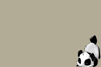 Cute Animal Wallpapers   Download Free Cute Animal Cute Panda ...