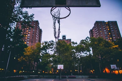 Basketball, Basketball Court, Hoop Wallpapers HD