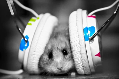 Desktop _amazing_wallpapers_ hd _music.jpg