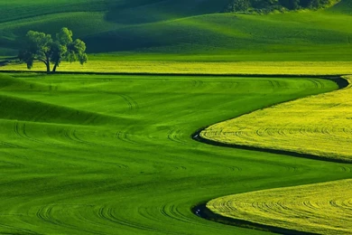 Full Hd Wallpapers Free Download   Wallpapers HD Wide