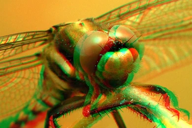 Wallpapers Anaglyph Eye Popping D Images 1024x768