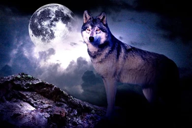 Free Moon Wallpapers Desktop Images Full Hd