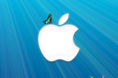 New iPad Mini 1024×1024 HD Wallpapers [100+ Images Updated Today ...