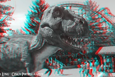 3D Photos Anaglyph Stereoscopic Images By Cincy Photography