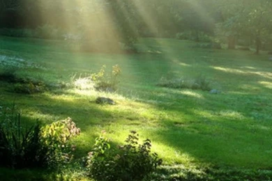 Spectacular Ray Mystery Free Iphone Wallpapers Hd