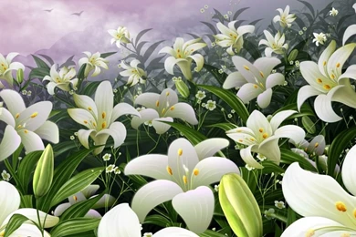 White Lilies HD Desktop Wallpapers : Widescreen : High Definition ...