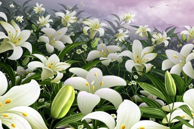 Easter Lily Wallpaper for PC