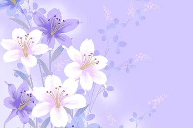 Purple Lilies >> HD Wallpaper, Get It Now!