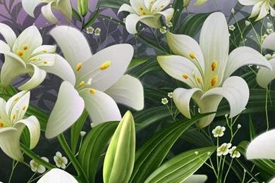 White Lilies HD Desktop Wallpapers : Widescreen : High Definition ...