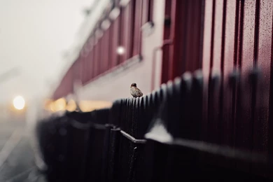 Train Station Wallpapers Archives   HDWallSource.com ...