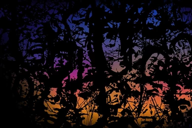 Bob Marley   1991500