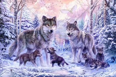 Winter Wolf Family   Wall Mural & Photo Wallpapers   Photowall