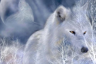 Winter Wolf Tree Canine Dog Trees Landscape 9447 Dogs Wallpapers ...