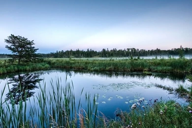 Pond Desktop Wallpapers   HD Wallpaper Backgrounds Of Your Choice