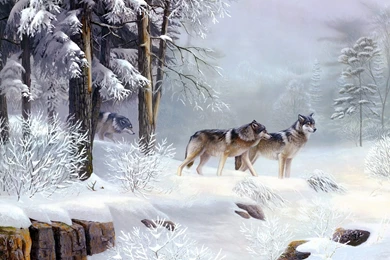 Wolf Wallpapers, Desktop Wallpapers » GoodWP.com