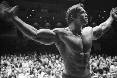 Arnold Schwarzenegger Mr Olympia Wallpapers Free Desktop ...