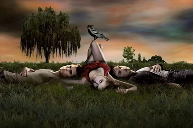 TV Shows (Brand New)