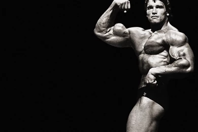 Arnold Schwarzenegger, IFBB Mr. Olympia Pics
