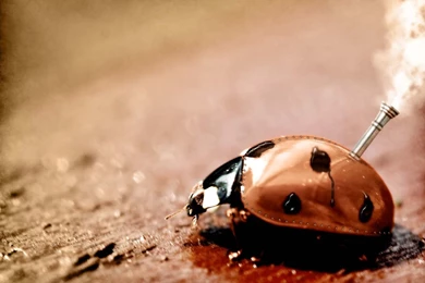 Download Backgroundresearcheritt Steampunk Wallpapers 1280x800 ...