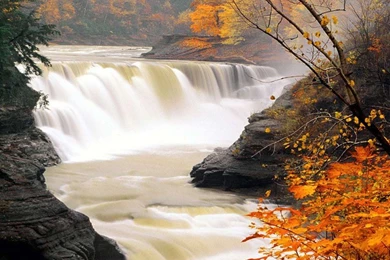 Nature New Wallpapers   HD Images New