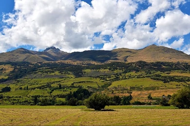 New Zealand Nature Wallpapers – Free Full Hd Wallpapers For 1080p ...