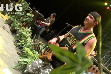 Slightly Stoopid Seedless Summer Tour With Rebelution