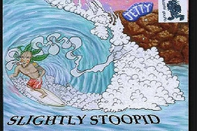 Slightly Quotes. QuotesGram