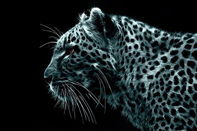 Desktop Wallpapers · Gallery · Windows 7 · Leopard Backgrounds ...