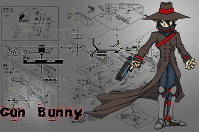 Anime D20 Gun Bunny Wallpapers By Noodle ninja On DeviantArt