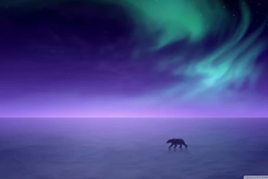 Aurora Borealis Wallpapers Hd   Wallpaper.