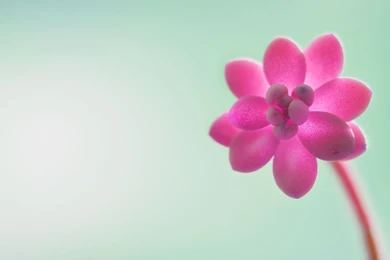 Windows 10 Wallpapers 3840x1200.jpg