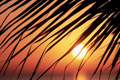 Jamaica Wallpapers >> Backgrounds With Quality HD