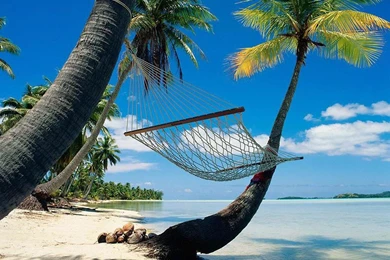 Montego Bay Jamaica   (