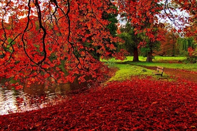 Autumn HD Wallpapers And Latest Desktop Backgrounds