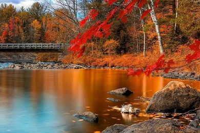 1080x1920 Autumn Wallpapers HD