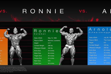 Jay Cutler Vs. Ronnie Coleman Vs. Arnold Schwarzenneger ...