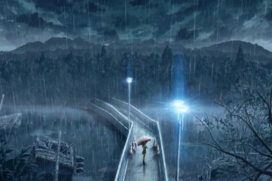 Beautiful Rainy Night Pics