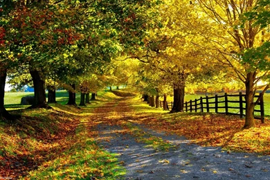 Nature Desktop Wallpapers HD   Wallpapers Cave