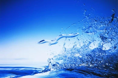 Christmas Wallpaper, Free Wallpapers Downloads: Animated Wallpapers ...