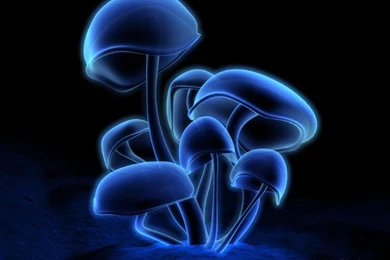 1136163721_800x600_3d abstract wallpapers.jpg