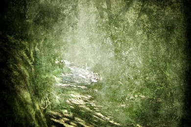 Texture/Backgrounds 12