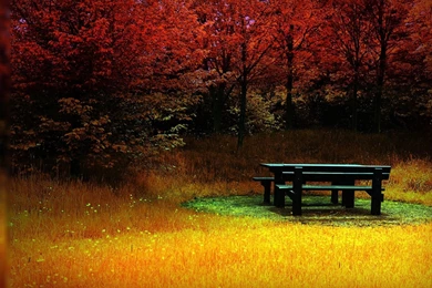 Hd Wallpapers 2560X1600 237228