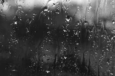 Condensation Water Drops Hd Wallpapers   (