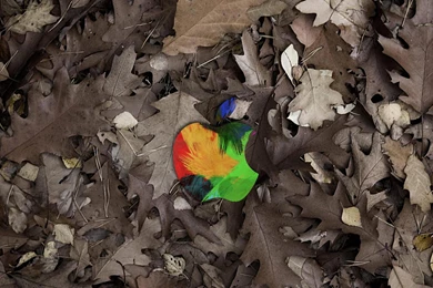 iPad Retina Wallpapers HD   Retina Ready, Stunning Wallpapers