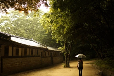 Retina iPad Wallpapers Pack