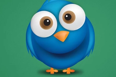 Blue Bird Retina HD Wallpapers for iPhone 6.jpg