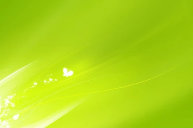 Light Green Wallpapers   HD Wallpapers Lovely