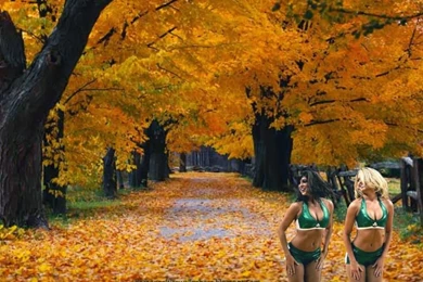 Boston_celtics_free_wallpapers_043_cheerleaders_babes_autumn_trees.jpg